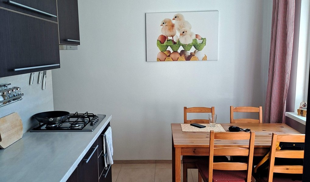Pronájem bytu 2+1 60 m², Karlovy Vary – náhled fotky 3