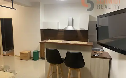 Pronájem bytu 1+kk 40 m², Třebízského, Hustopeče, okres Břeclav