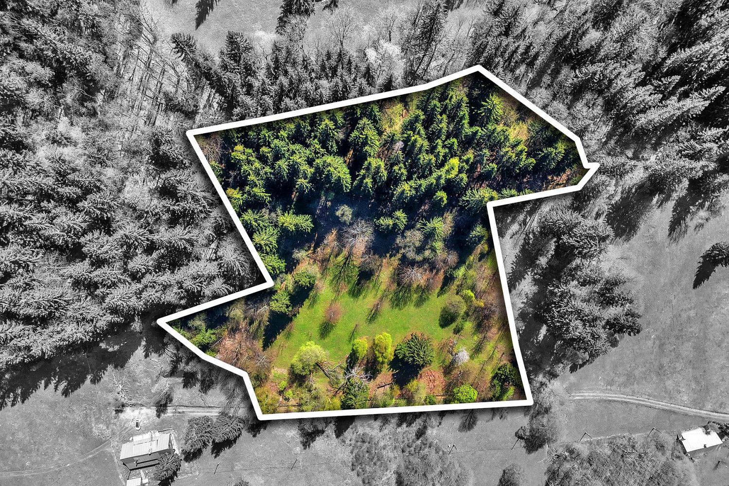 Prodej stavebního pozemku 21 708 m² – fotografie 3