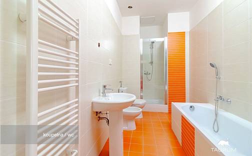 Prodej bytu 2+1 74 m², Rozvojová zóna, Janovice nad Úhlavou, okres Klatovy