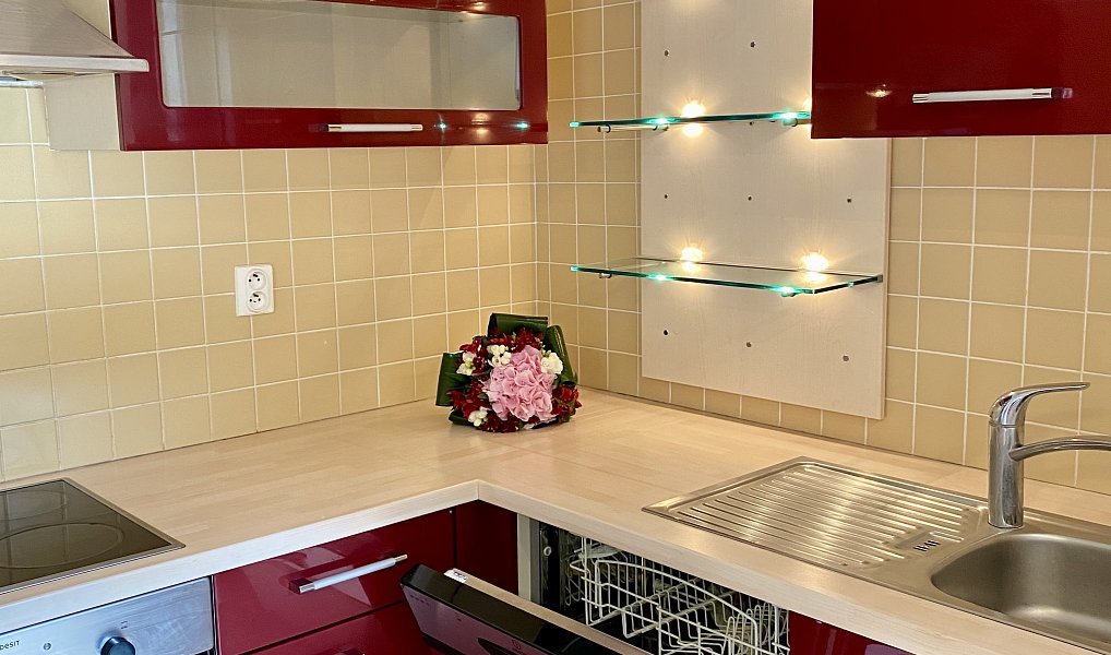 Prodej bytu 3+kk 66 m², Plzeň – náhled fotky 2