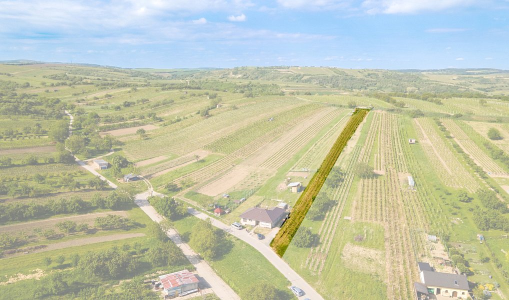 Prodej stavebního pozemku 1 528 m², Velké Pavlovice – náhled fotky 2
