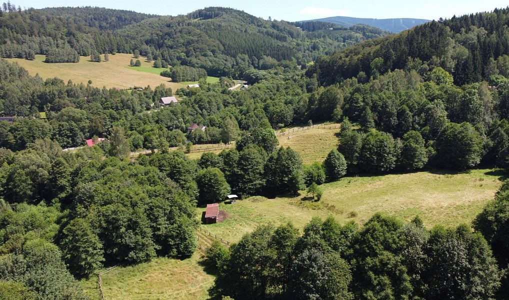 Prodej pozemku, 3118 m², Rychnov nad Kněžnou, Olešnice v Orlických horách