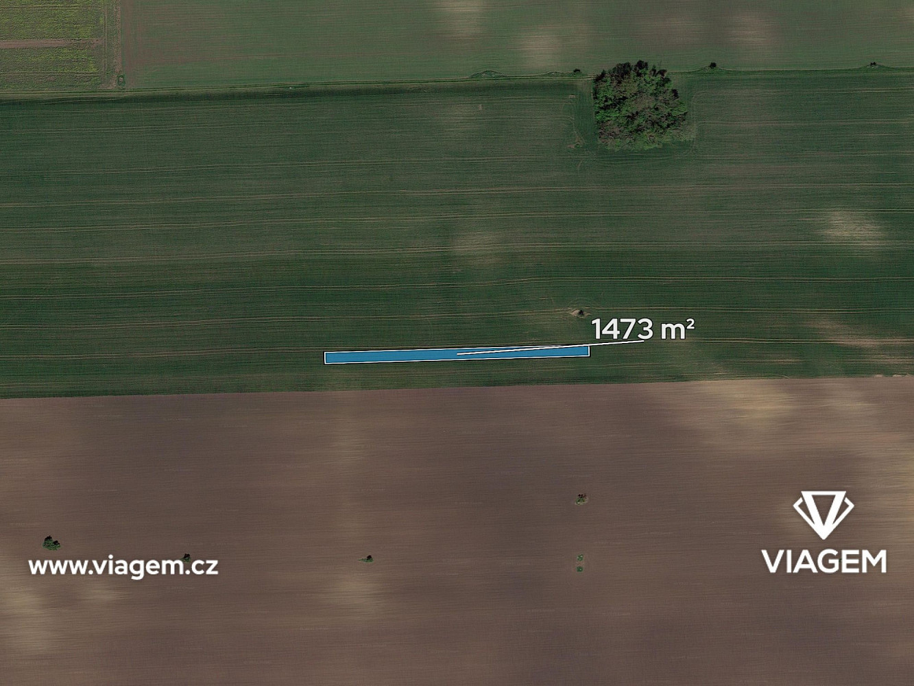 Prodej pole 1 473 m² – fotografie 2