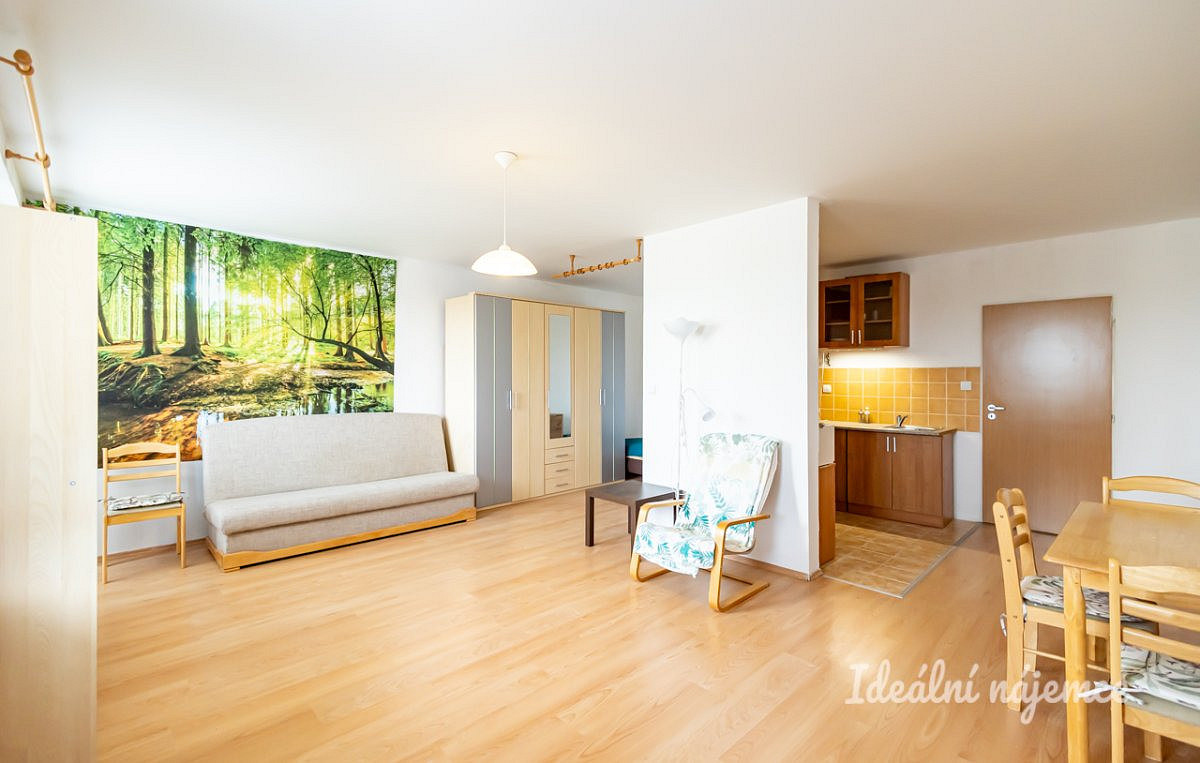 Pronájem bytu 1+kk 47 m²