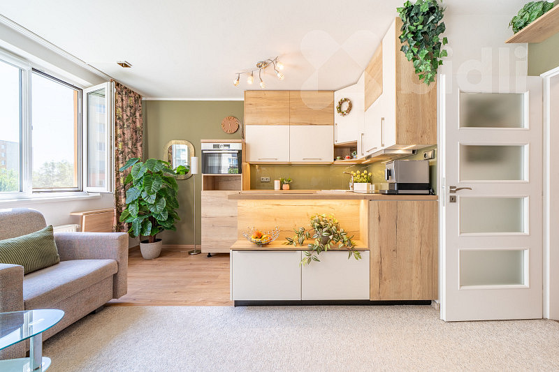 Prodej bytu 2+kk 50 m² — photo 4