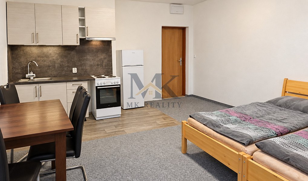 Pronájem bytu 1+kk 30 m², Zdíkov – náhled fotky 2