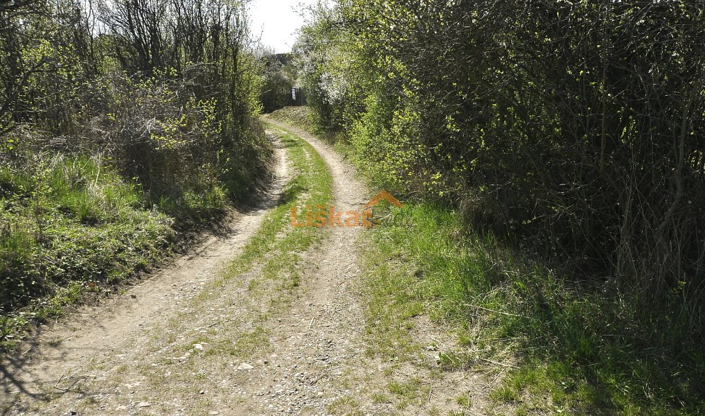 Prodej zahrady 1 427 m², Bílovice nad Svitavou – náhled fotky 15