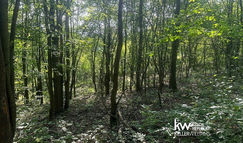 Prodej pozemku 22 760 m², Bílina – náhled fotky 5