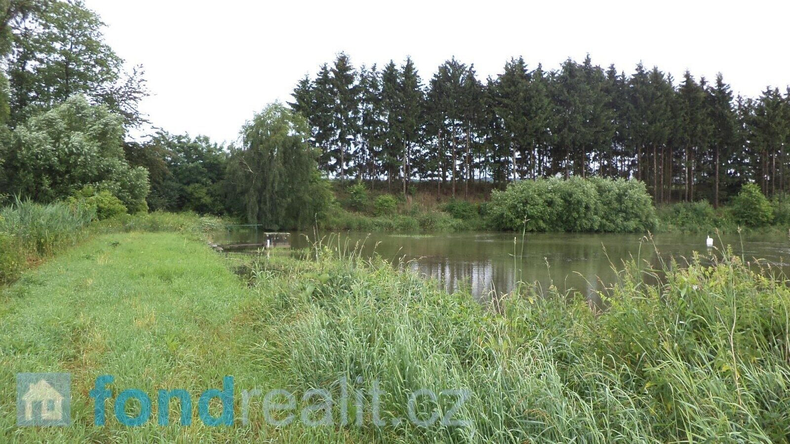Prodej pozemku 4 992 m² – fotografie 3