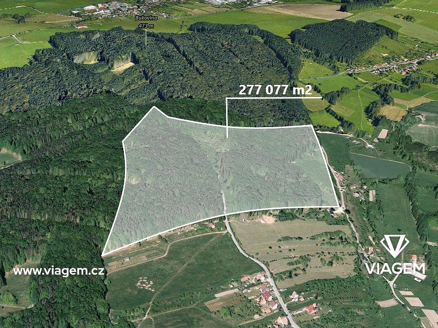 Prodej lesa 2 432 m²