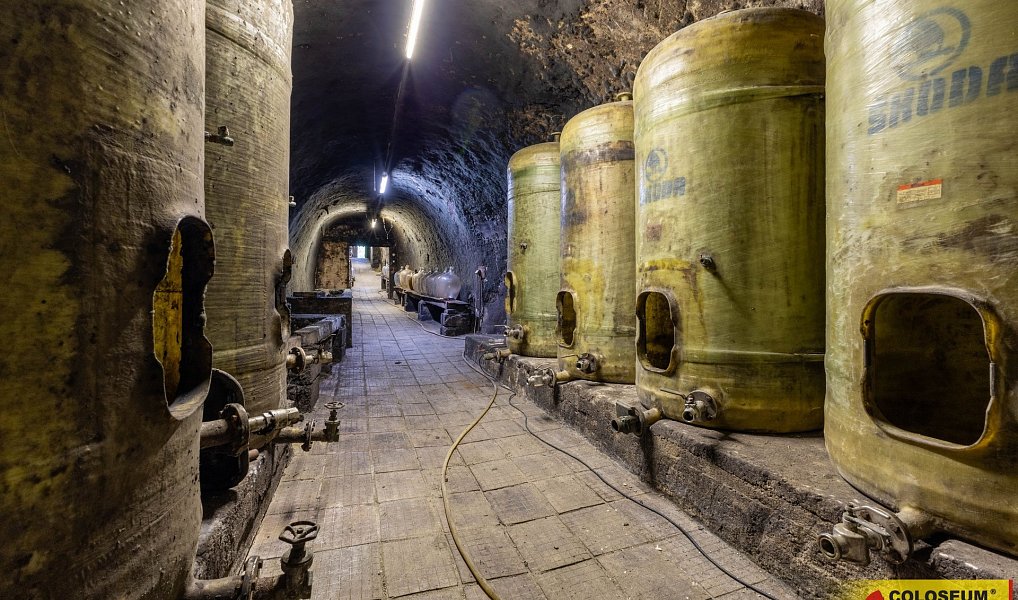 Vrbovec, vinný sklep, 160 m2, sítě prodej vinného sklepa, Vrbovec – náhled fotky 12
