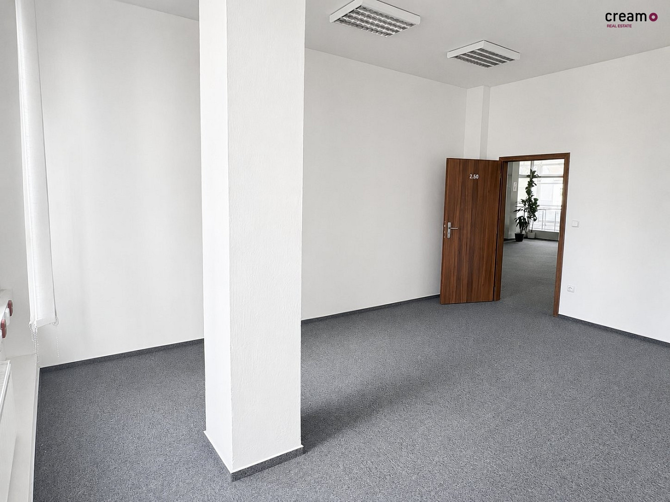 Pronájem kanceláře 24 m² – fotografie 2