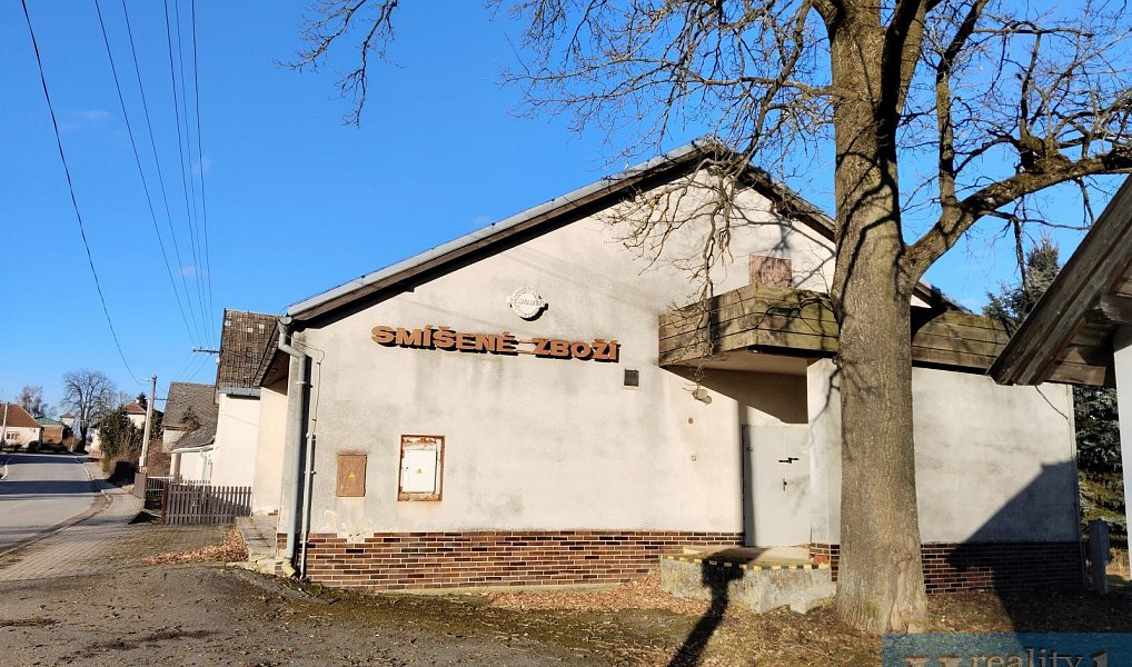 Prodej obchodních prostor 110 m², Polesí – náhled fotky 10
