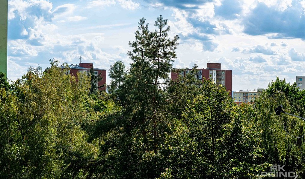 Prodej bytu 1+1 46 m², Praha – náhled fotky 17