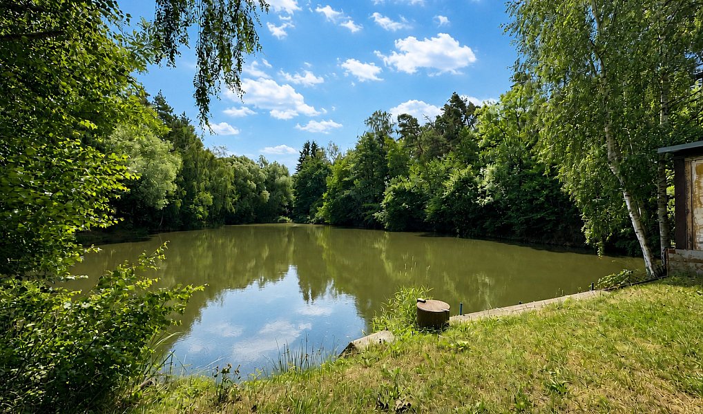 Prodej vodní plochy 25 771 m², Dačice – náhled fotky 3