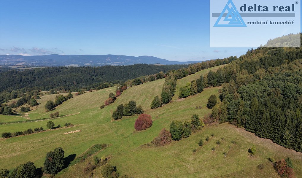 Prodej domu 90 m² s pozemkem 1 008 m², Jindřichov – náhled fotky 23