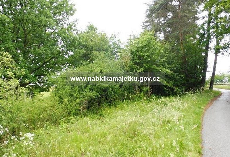 Prodej pozemku 1 974 m² – fotografie 3