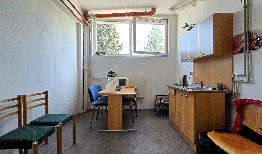 Pronájem výrobních prostor 442 m², Karviná – náhled fotky 8