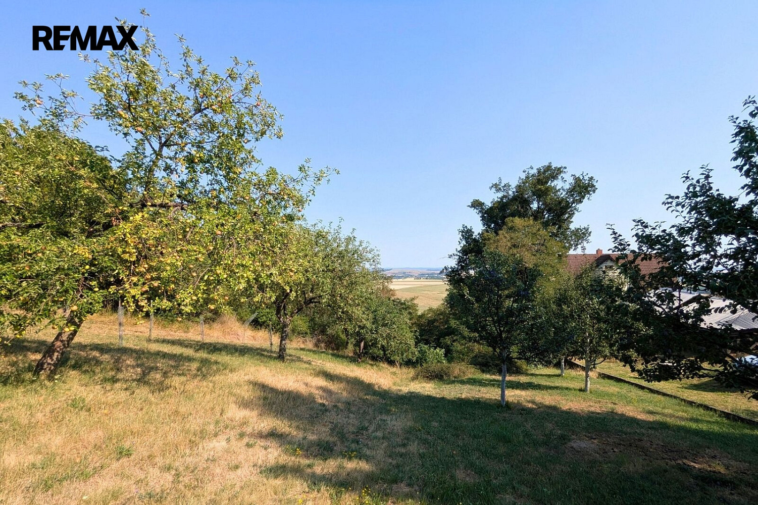Prodej zahrady 1 754 m² – fotografie 2