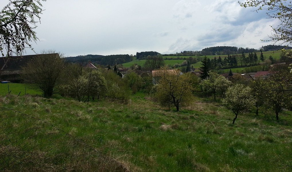 Prodej stavebního pozemku 4 736 m², Sedlčany – náhled fotky 12