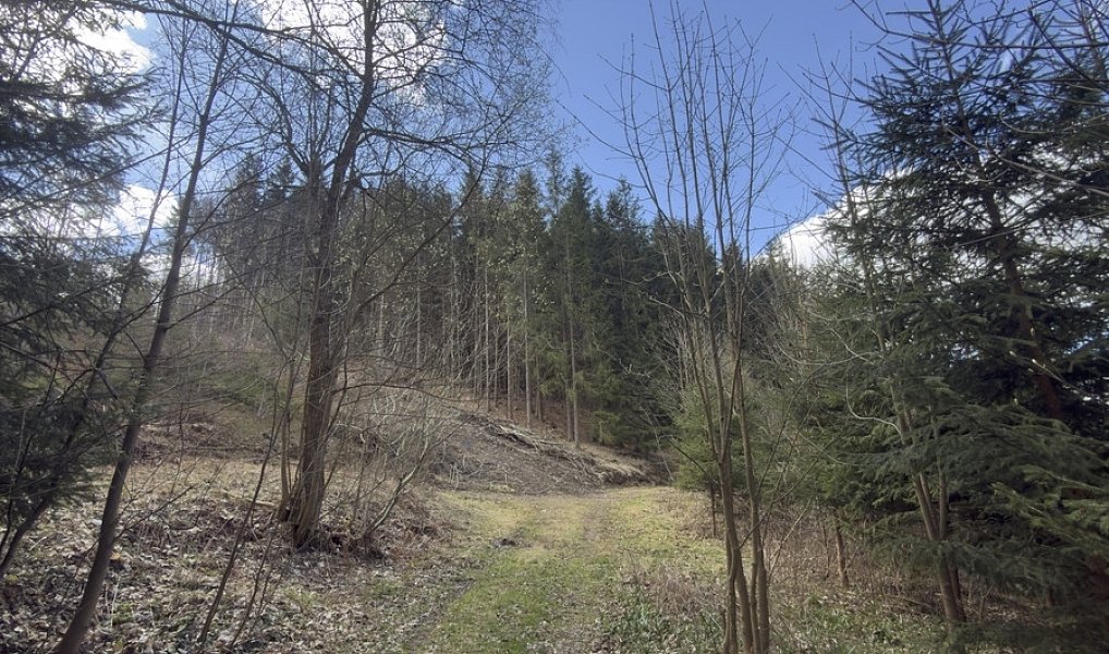 Prodej louky 9 974 m², Výprachtice – náhled fotky 3