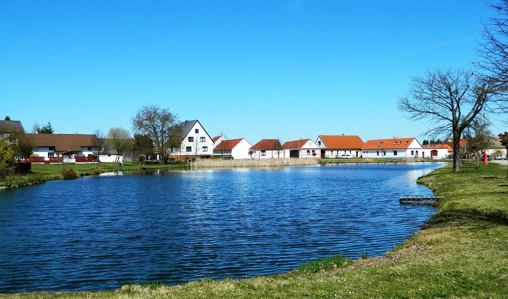 Prodej domu 455 m² s pozemkem 1 055 m², Zálší – náhled fotky 23