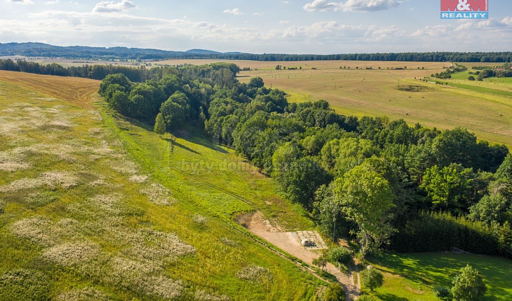 Prodej louky 6 183 m², Albrechtice nad Vltavou – náhled fotky 9