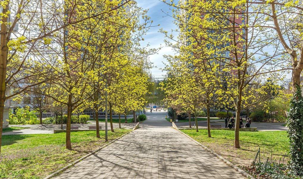 Prodej bytu 2+kk 48 m², Praha – náhled fotky 2