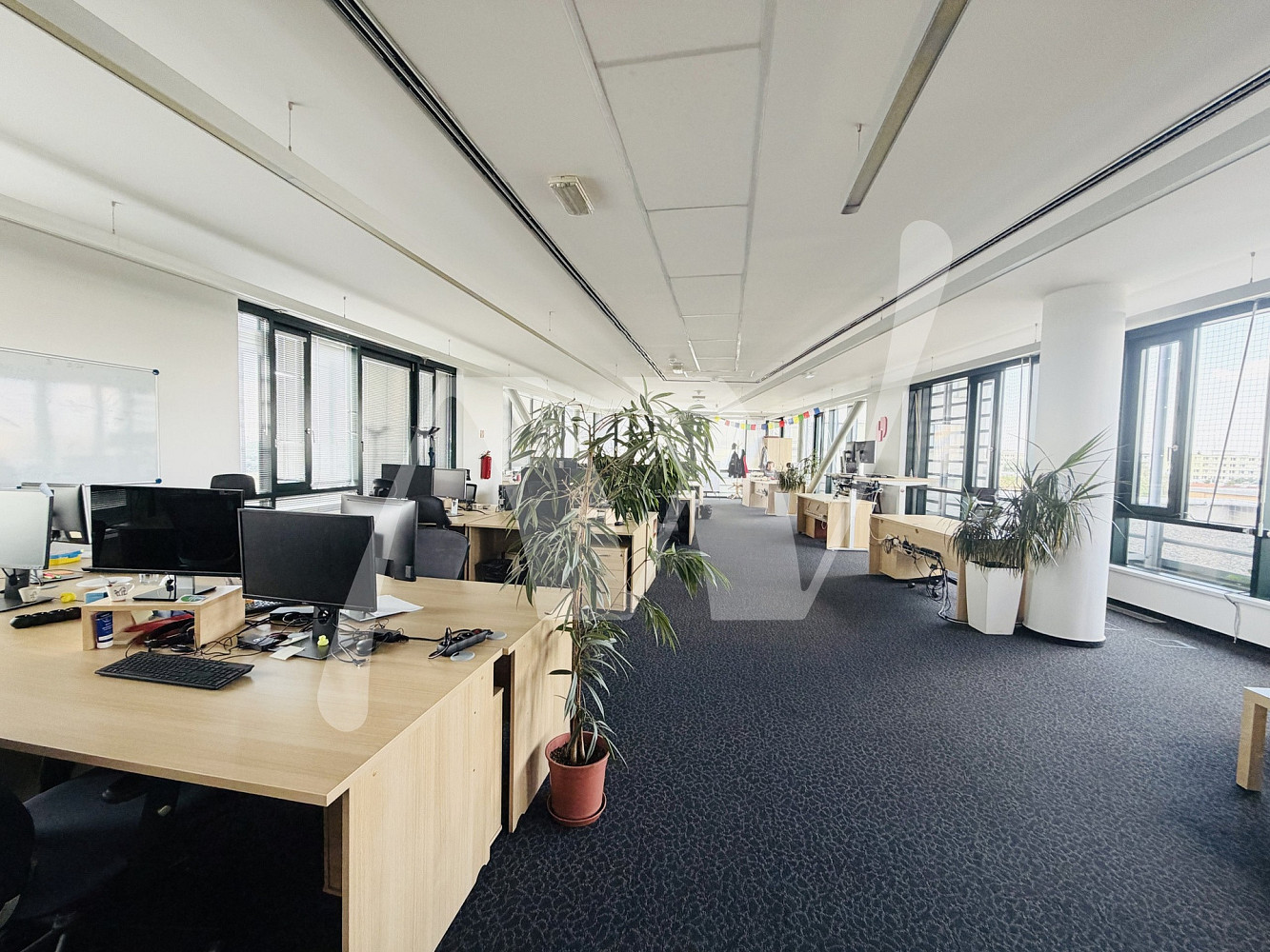 Pronájem kanceláře 707 m² — photo 5