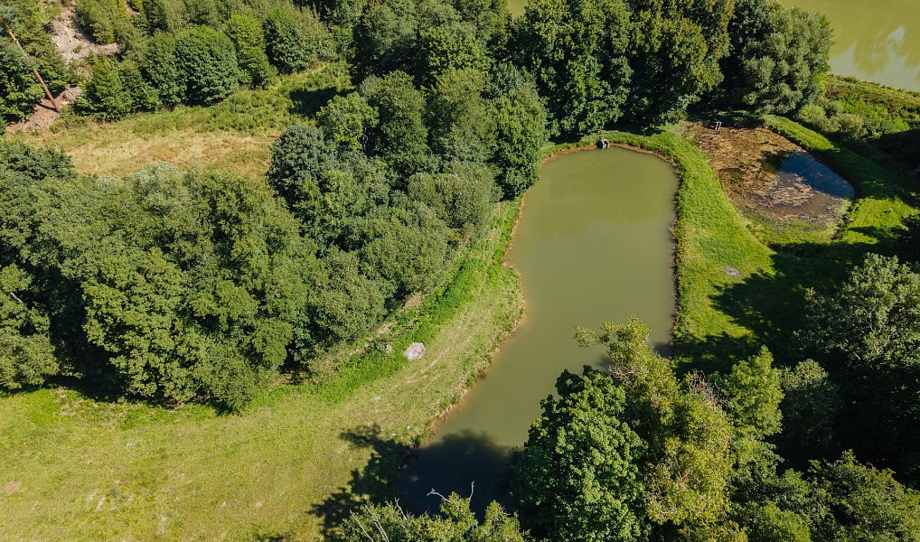 Prodej vodní plochy 8 295 m², Nové Hrady – náhled fotky 11