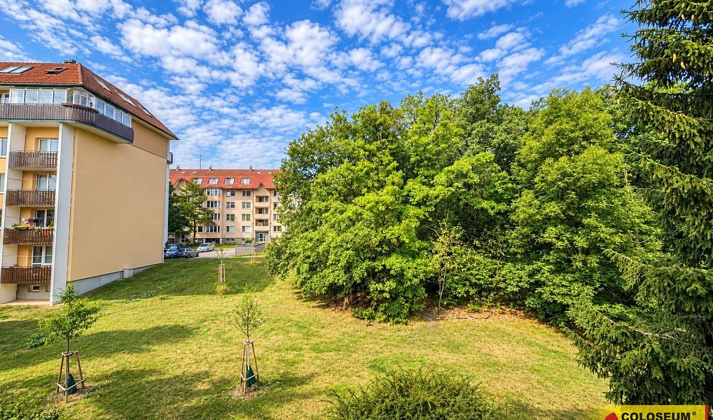 Prodej bytu 3+1 73 m², Brno – náhled fotky 9