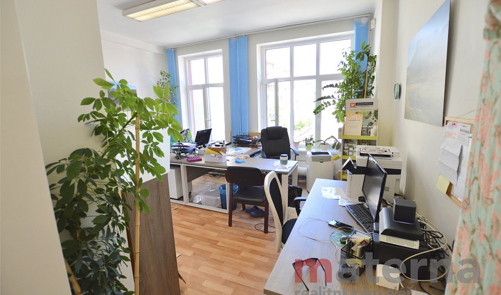 Pronájem kanceláře 44 m², Praha – náhled fotky 2