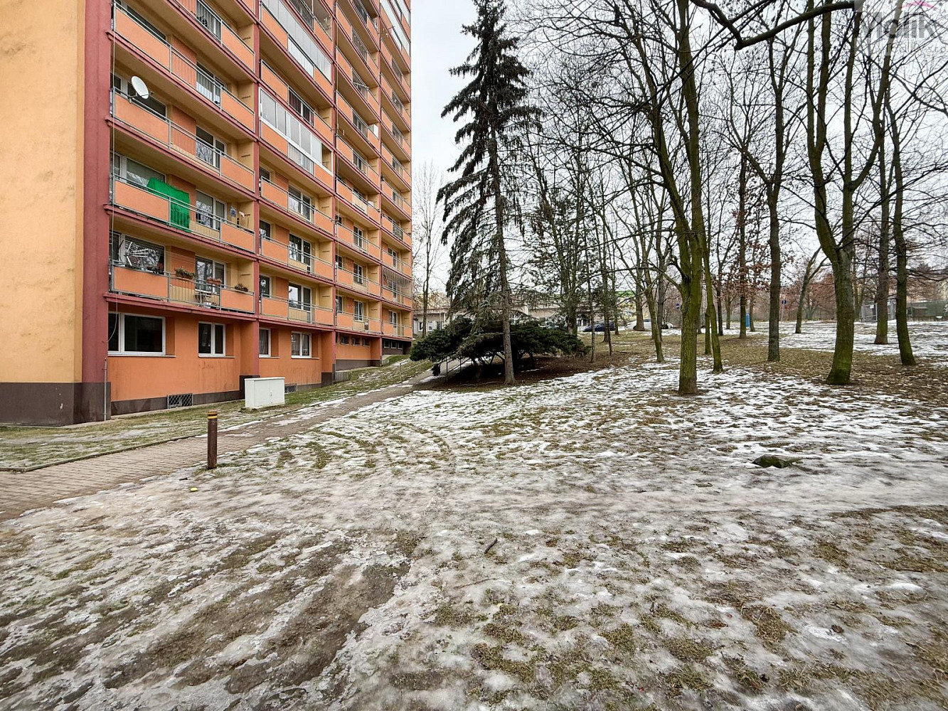 Fotka 17 z 17
