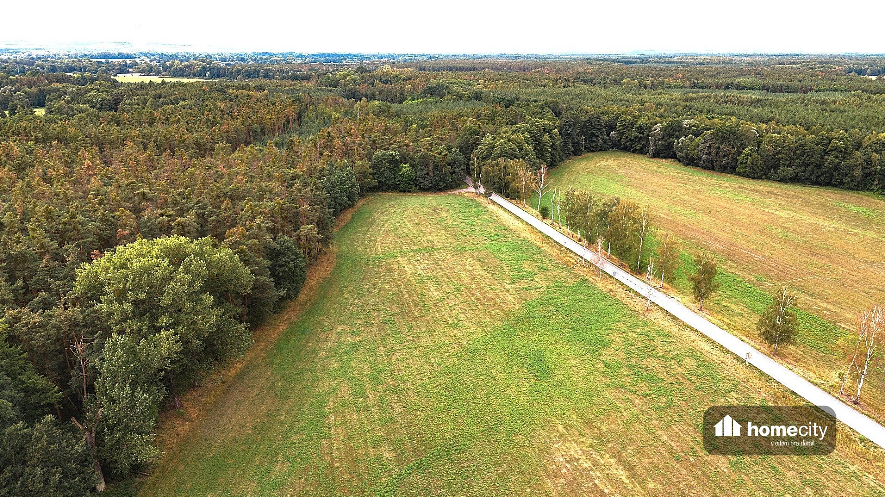 Prodej stavebního pozemku 4 375 m² – fotografie 4