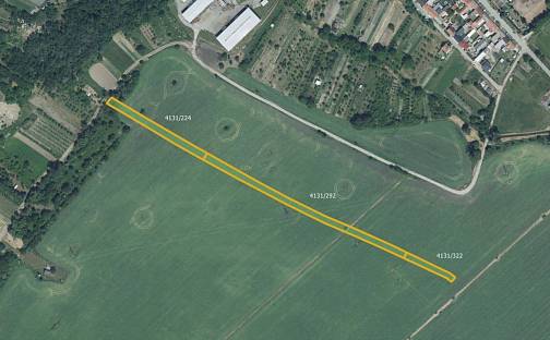 Prodej pole 6 078 m², Moravská Nová Ves, okres Břeclav