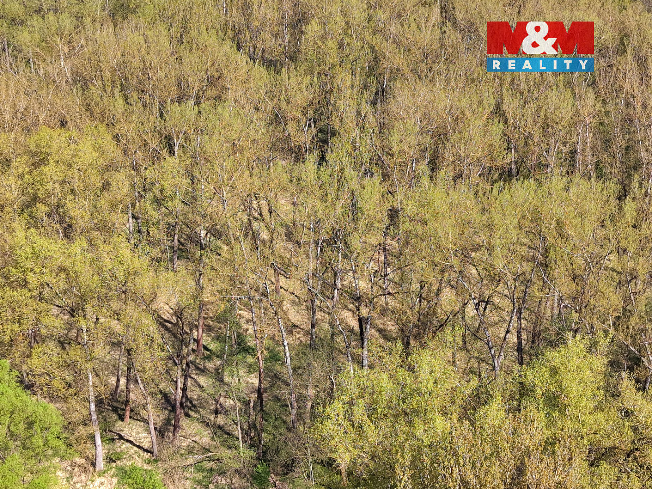 Prodej lesa 70 048 m² — photo 4