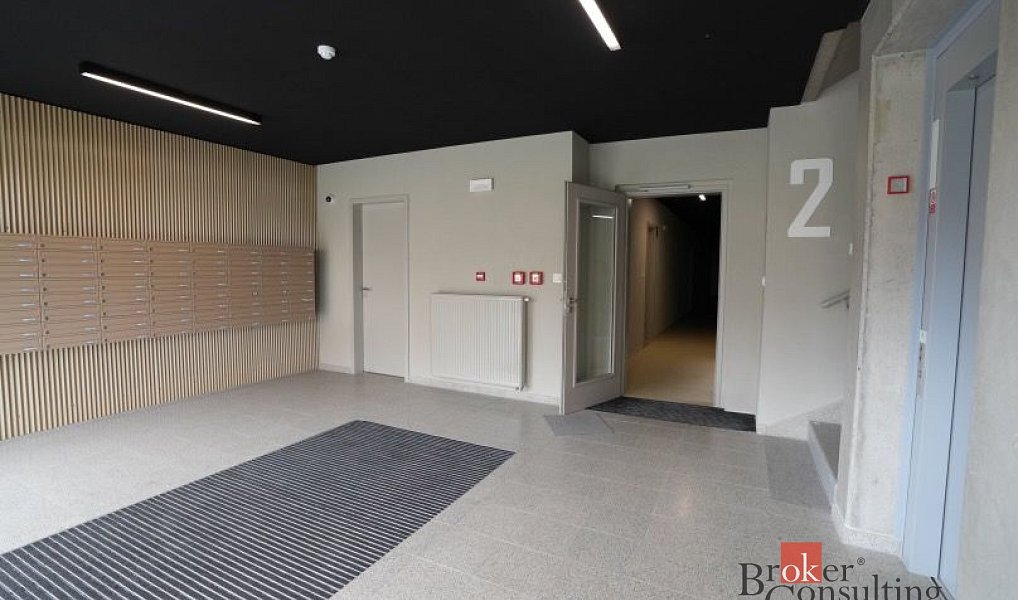 Pronájem bytu 1+kk 31 m², Plzeň – náhled fotky 6