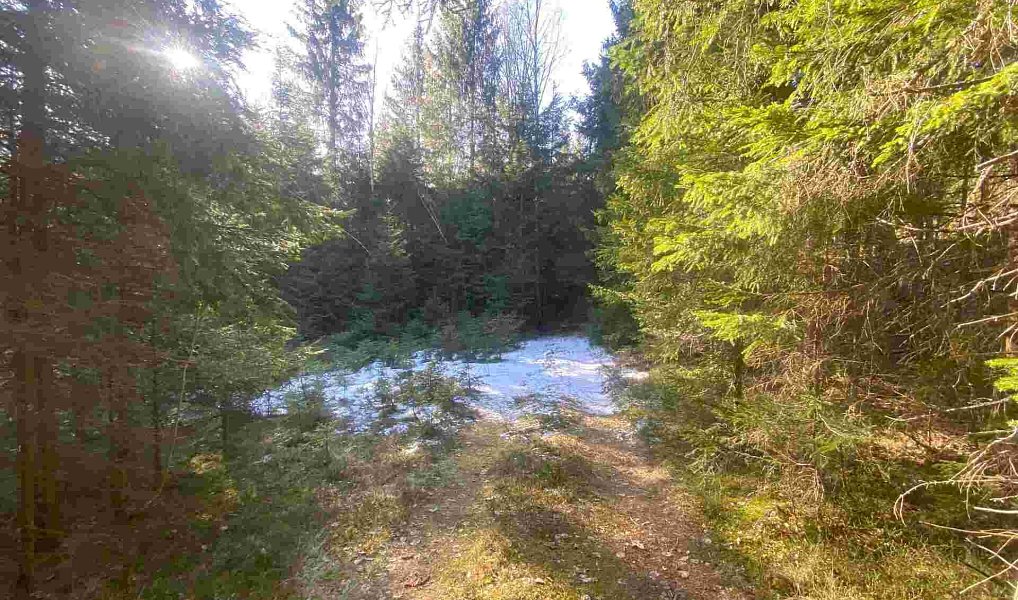 Prodej pole 1 644 m², Železná Ruda – náhled fotky 2