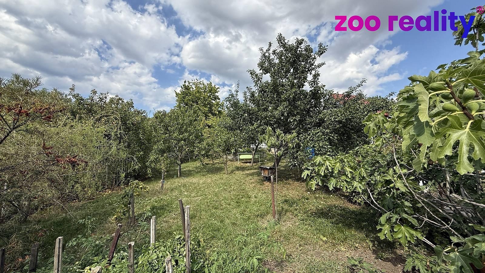 Prodej zahrady 479 m² — photo 4