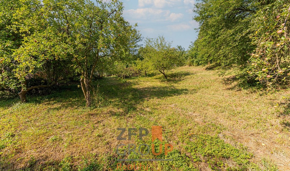Prodej stavebního pozemku 1 005 m², Borotín – náhled fotky 6