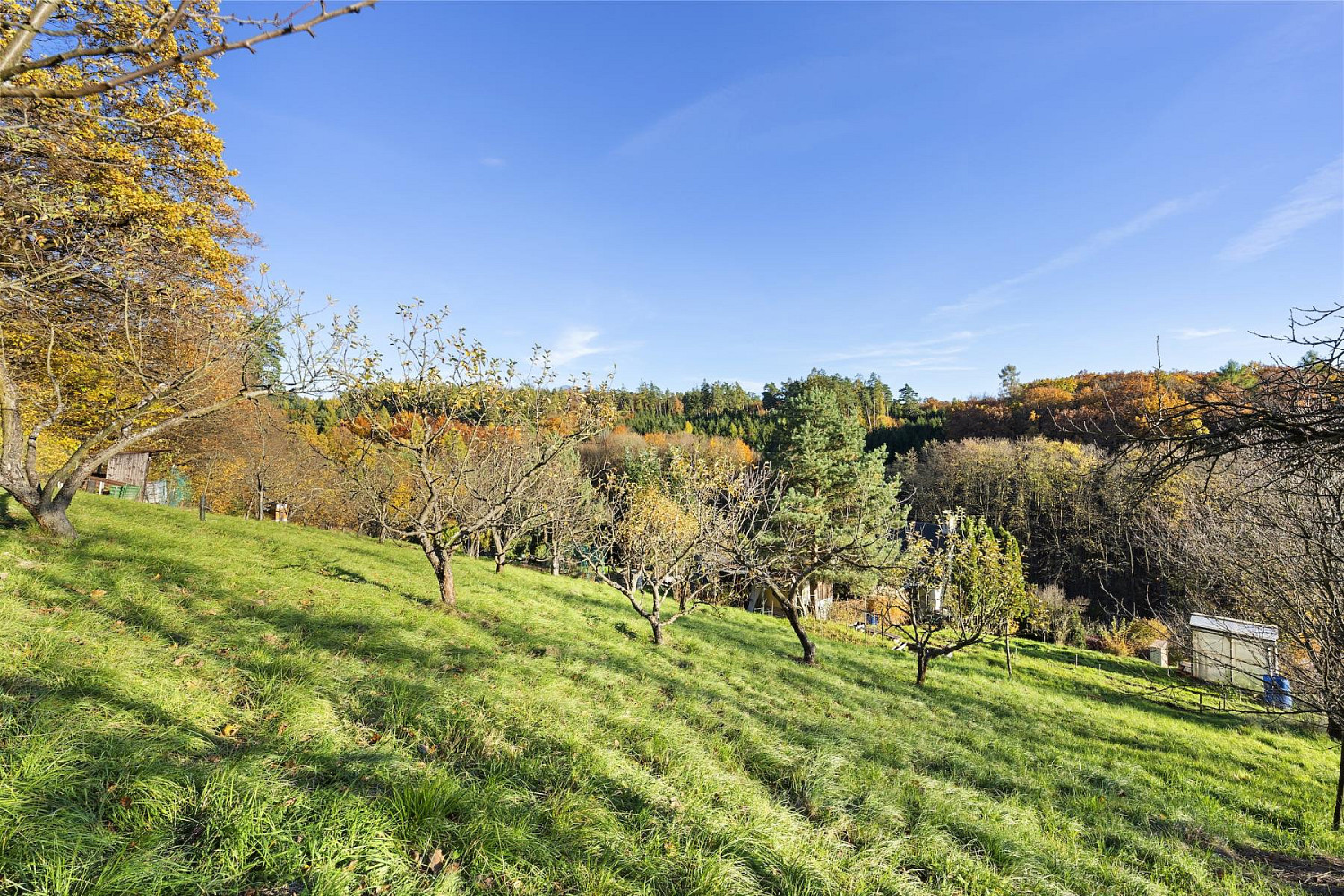 Prodej zahrady 554 m²