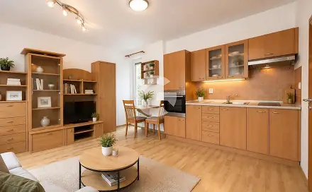 Prodej bytu 1+kk 28 m², Holešovská, Fryšták, okres Zlín