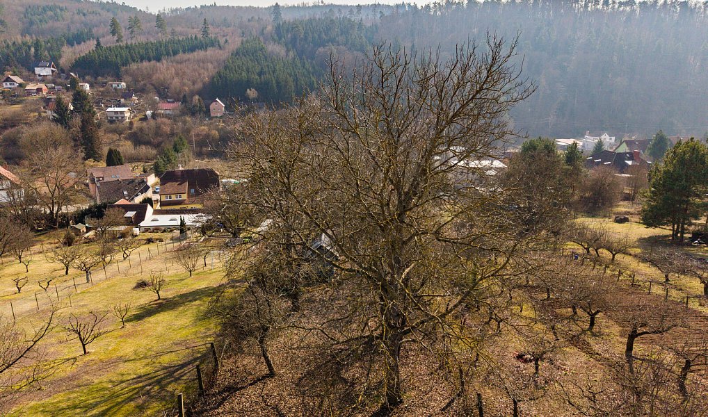 Prodej domu 123 m² s pozemkem 1 209 m², Řícmanice – náhled fotky 22