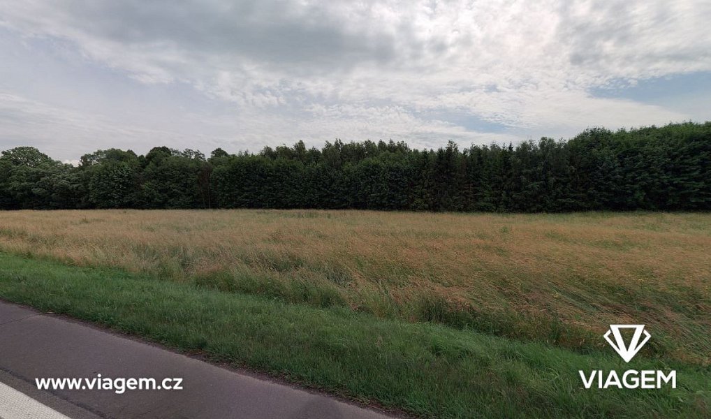 Prodej pole 2 478 m², Brantice – náhled fotky 2