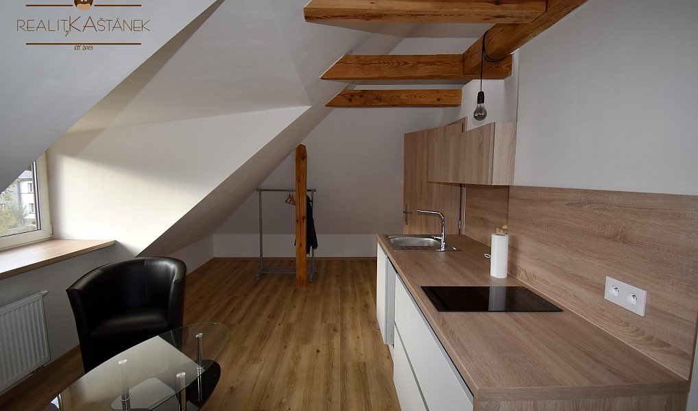 Pronájem bytu atypického 34 m², Liberec – náhled fotky 2