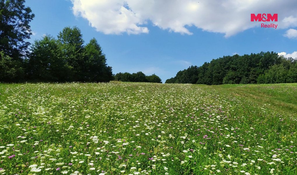 Prodej louky 4 766 m², Štramberk – náhled fotky 4