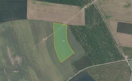 Prodej pole 27 410 m², Olovnice, okres Mělník