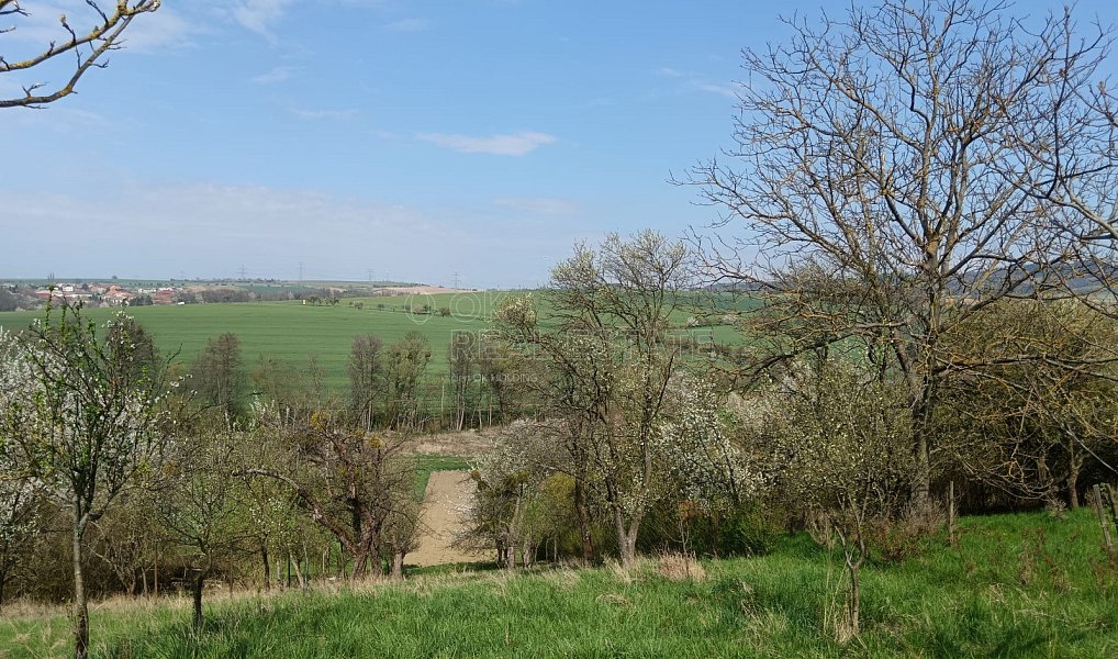 Prodej zahrady 1 872 m², Soběchleby – náhled fotky 3