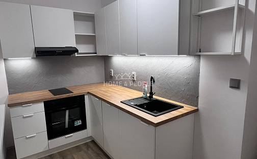 Pronájem bytu 2+1 54 m², Václavská, Chomutov